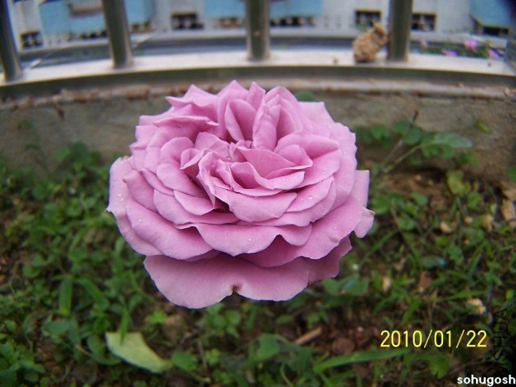 100_7927.jpg