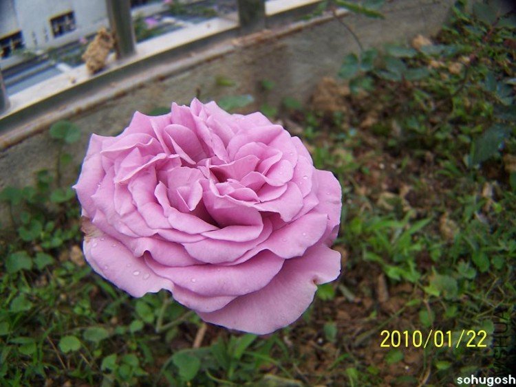 100_7926.jpg