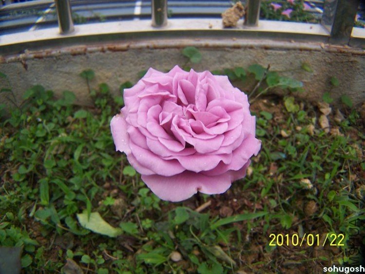 100_7925.jpg