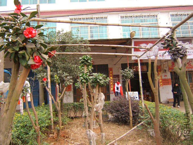 ������õ��