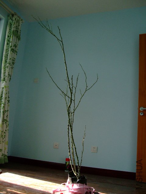 DSCF2835.JPG
