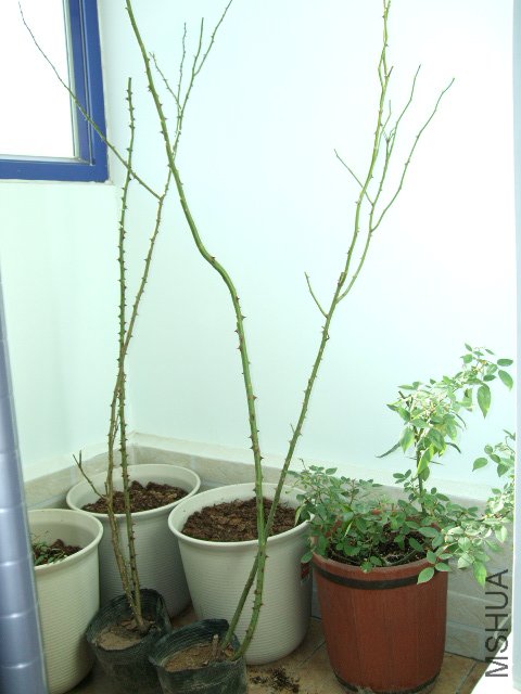 DSCF2844.JPG