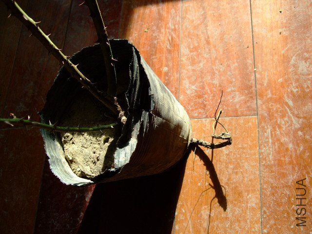DSCF2841.JPG