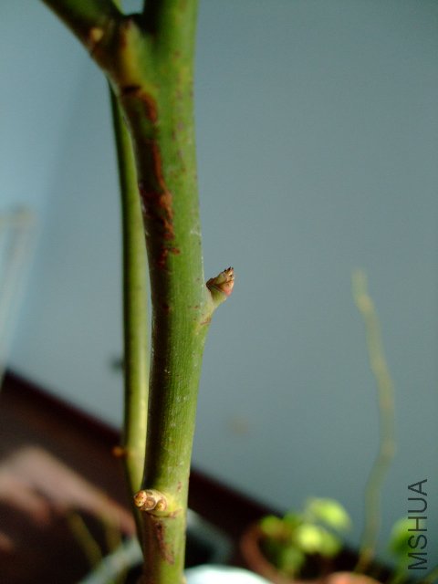 DSCF2842.JPG