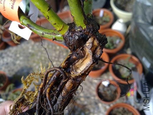 ���� 201001241485.jpg