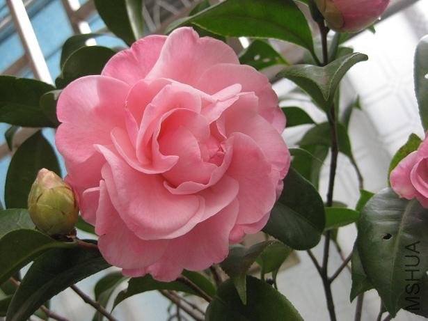 ��÷���� 014.jpg