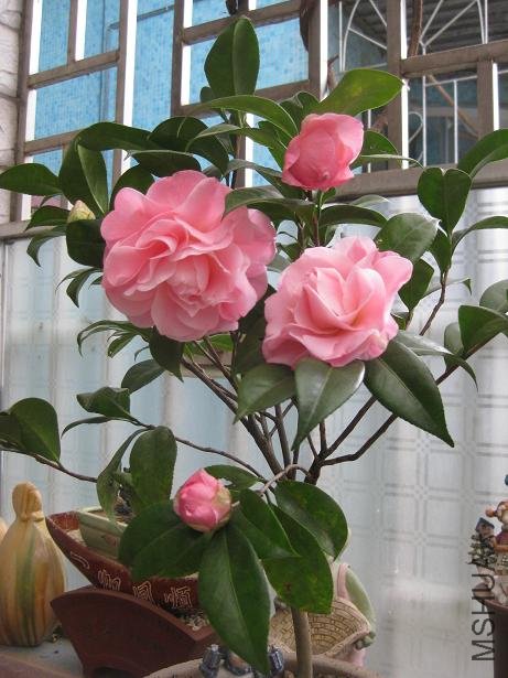 ��÷���� 019.jpg