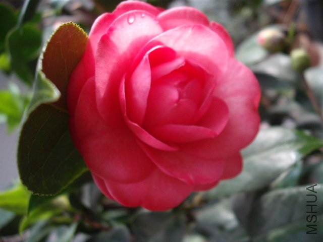 ����Ǵ������ģ���ǰ�治ͬһ��