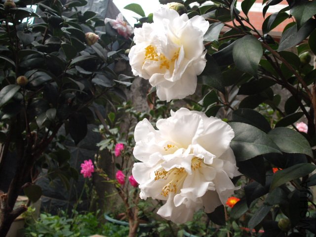 �������ѿ���18����