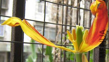 IMG_2944.JPG