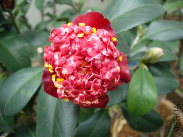 DSC09263.JPG