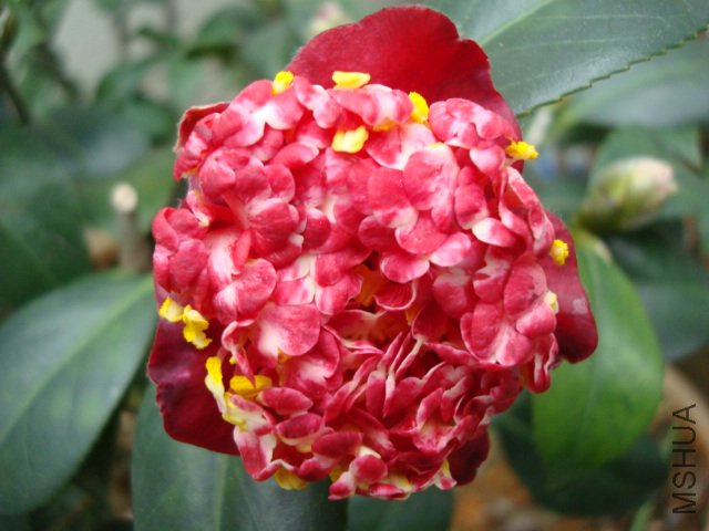 DSC09264.JPG