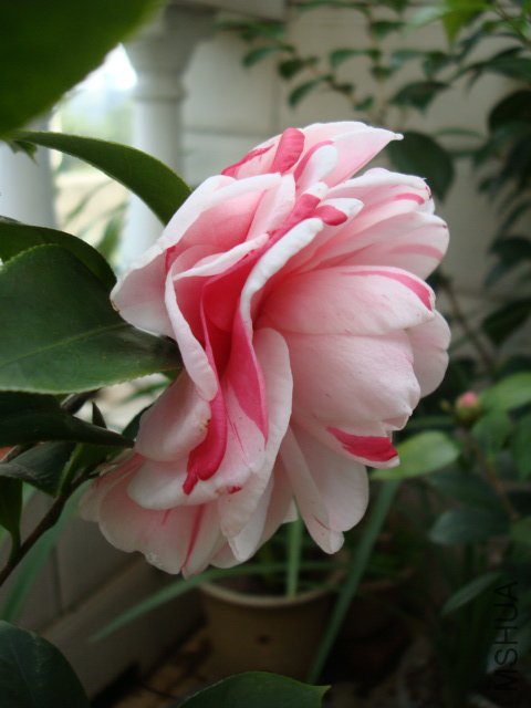DSC09244.JPG