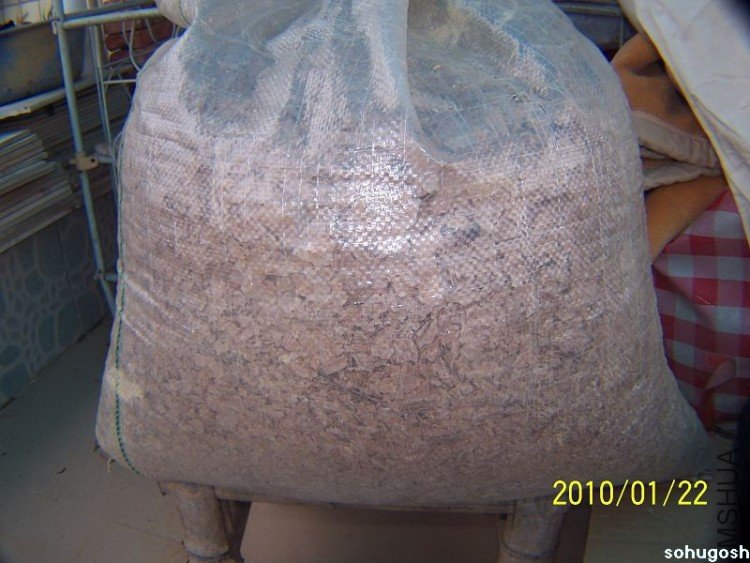 100_7914.jpg