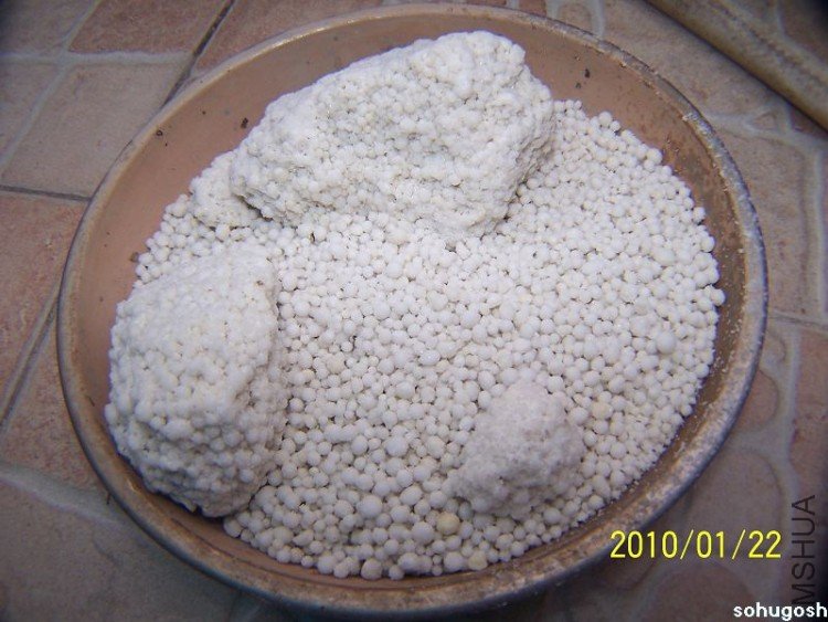 100_7913.jpg