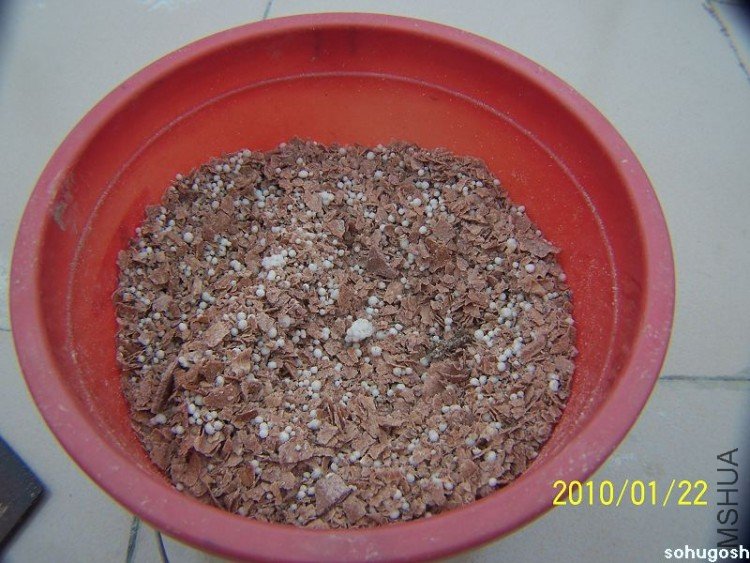 100_7920.jpg