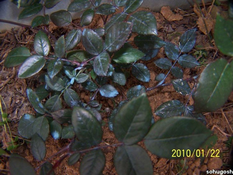 100_7951.jpg