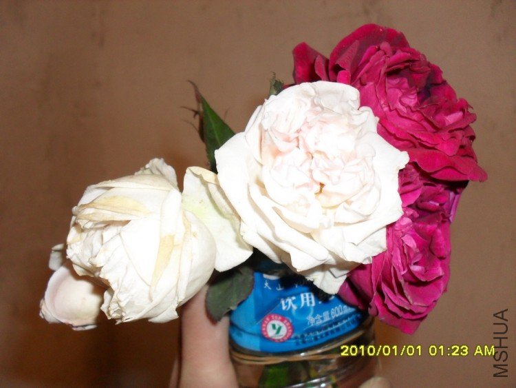 ����+��õ