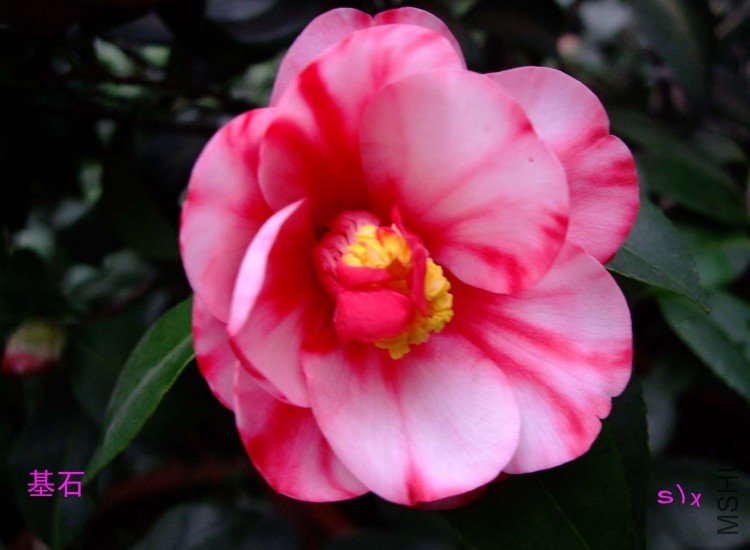 ��ʯ 10-1-29f(1).jpg