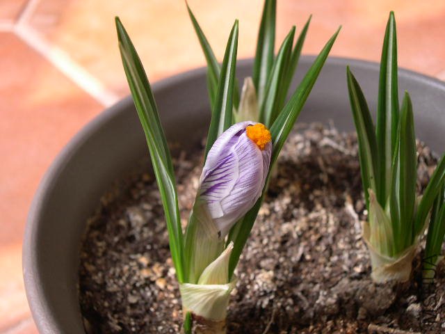 DSCN1317.JPG