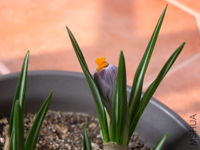 DSCN1316.JPG
