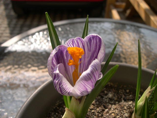 DSCN1341.JPG