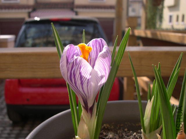 DSCN1342.JPG