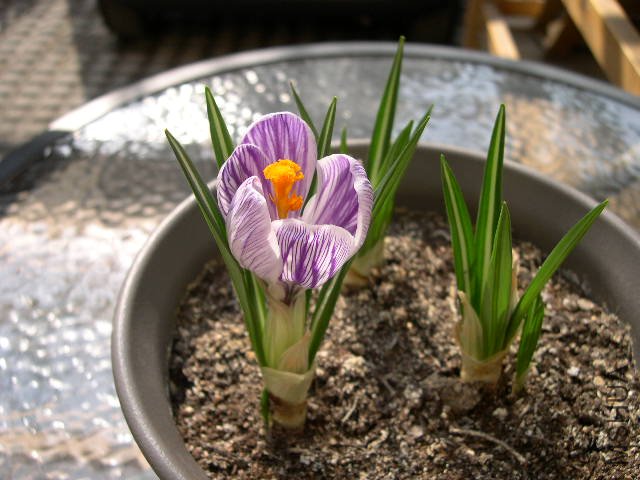 DSCN1340.JPG