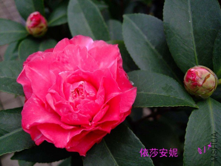 ��ɯ���� 10-1-30f(1).jpg