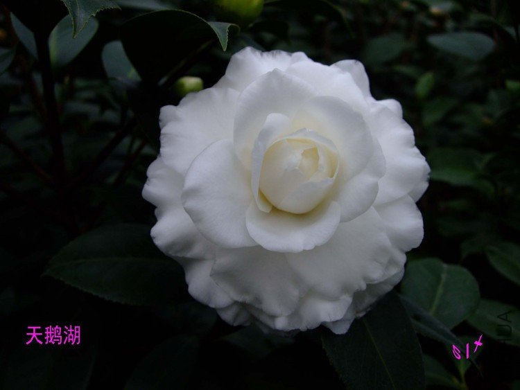 ���� 10-1-30f(1).jpg