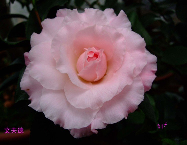 �ķ�� 10-1-30f (2).jpg