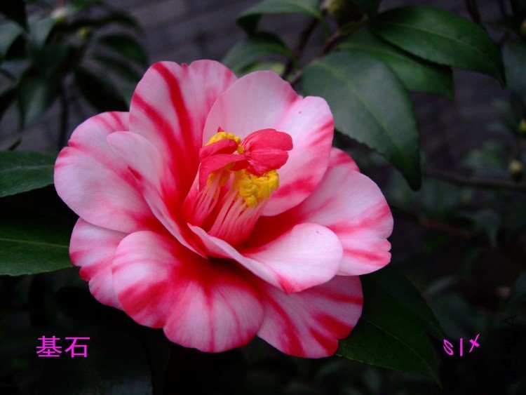 ��ʯ 10-1-30f (3).jpg