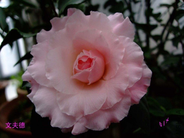 �ķ�� 10-1-30f(1).jpg