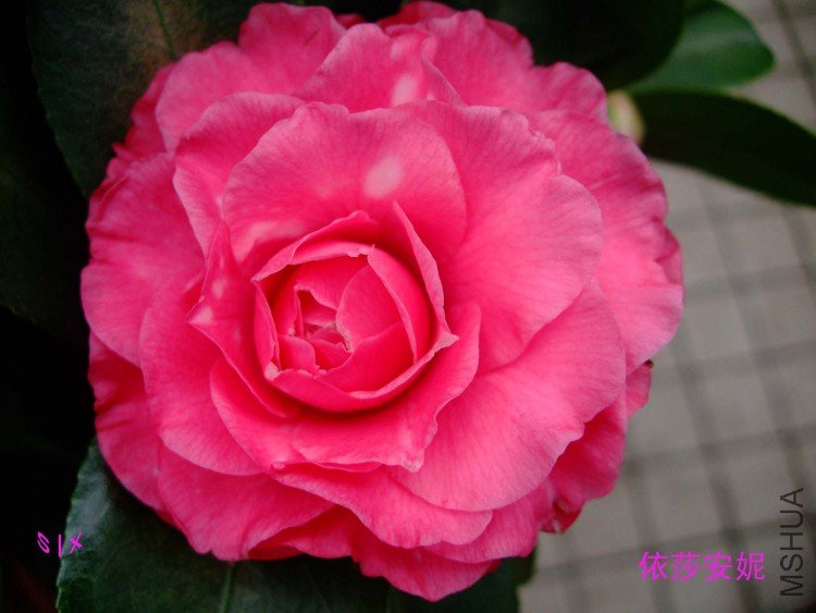 ��ɯ���� 10-1-30f (2).jpg