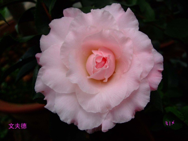 �ķ�� 10-1-30f (3).jpg