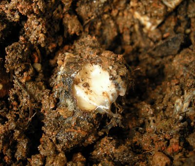 ����.JPG