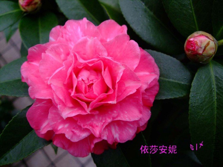 ��ɯ 10-1-31f(1).jpg