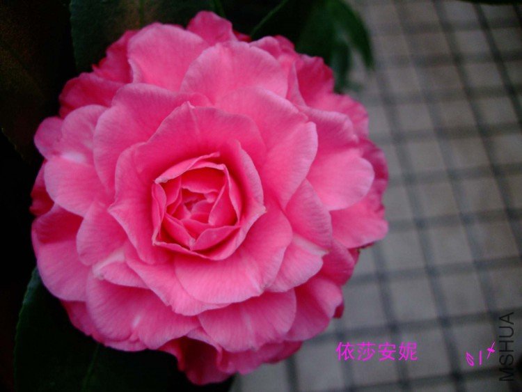 ��ɯ 10-1-31f (2).jpg