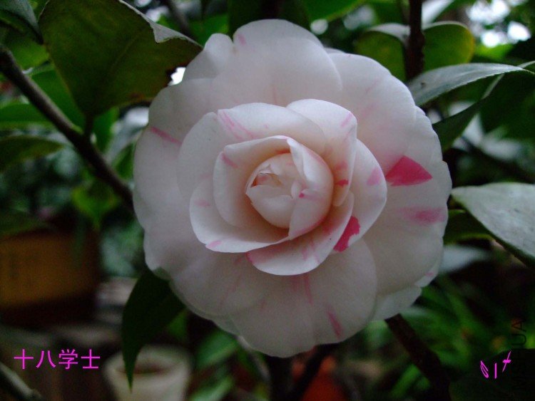 ��ʮ�� 10-1-31f.jpg