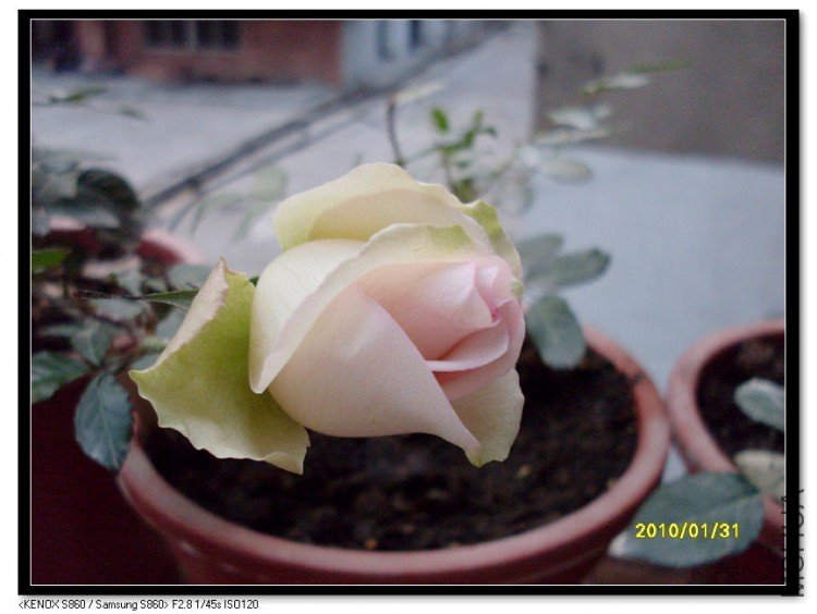 SDC13528_nEO_IMG.jpg