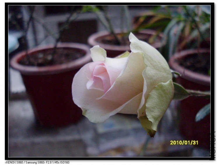 SDC13531_nEO_IMG.jpg