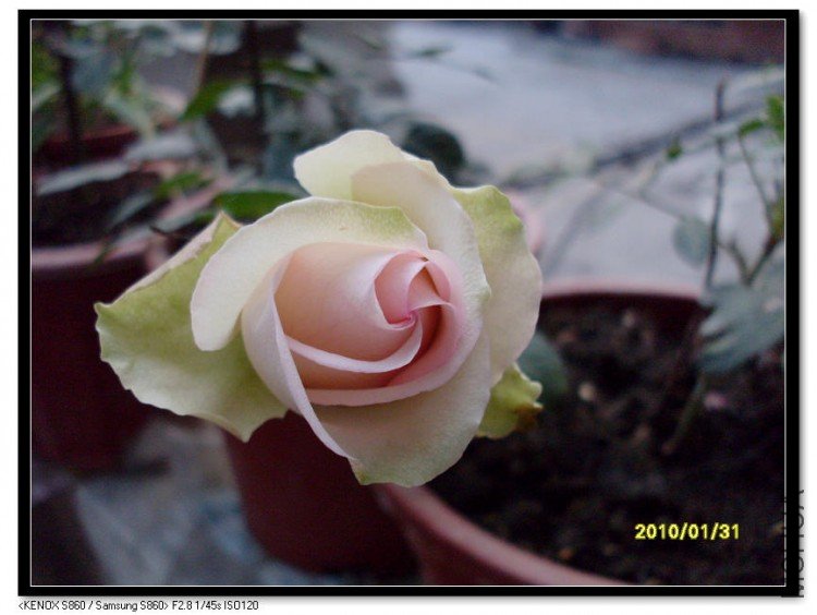SDC13527_nEO_IMG.jpg