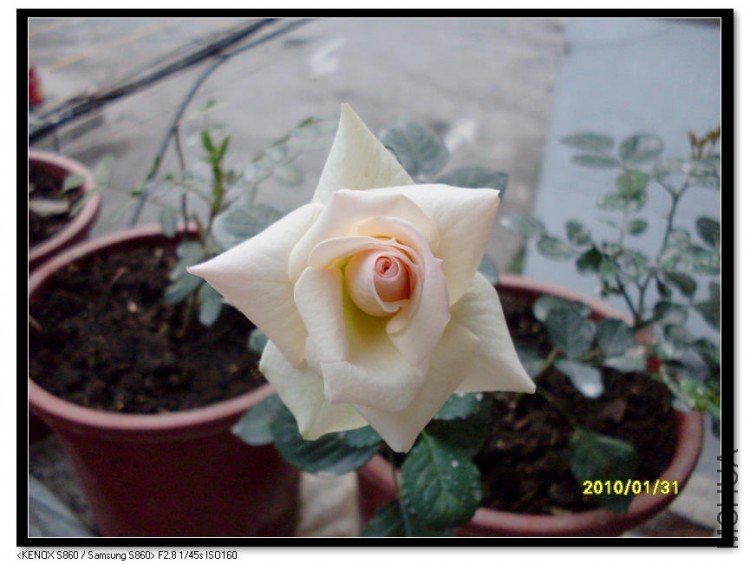 SDC13541_nEO_IMG.jpg