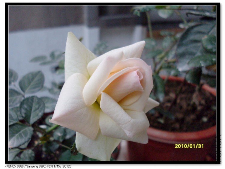 SDC13537_nEO_IMG.jpg