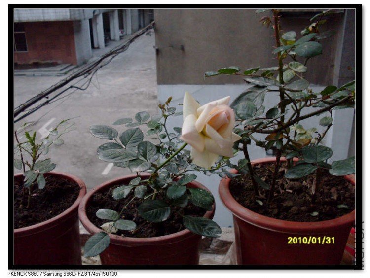 SDC13546_nEO_IMG.jpg