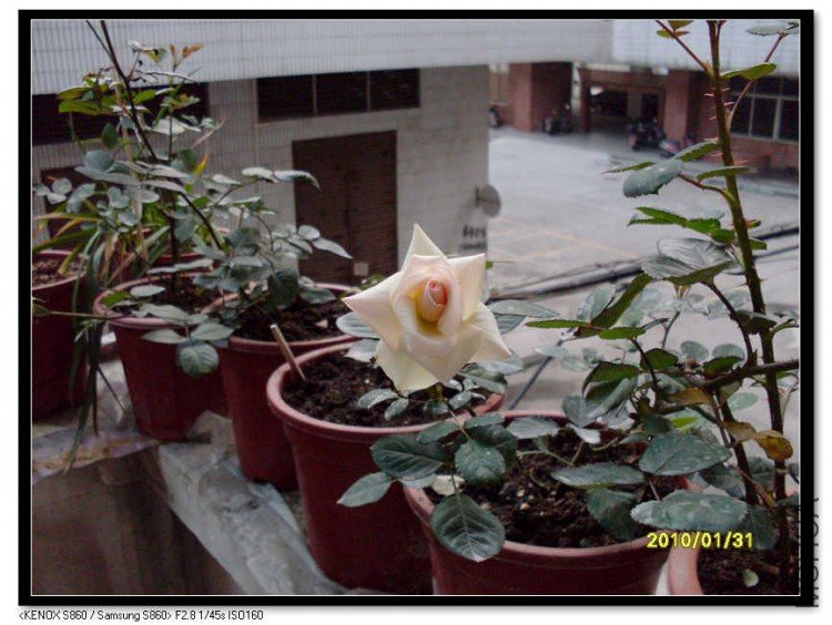 SDC13547_nEO_IMG.jpg