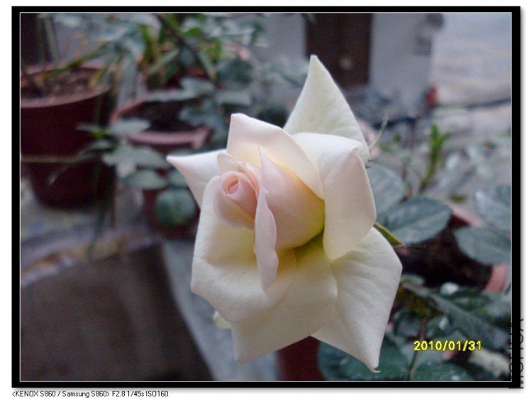 SDC13539_nEO_IMG.jpg