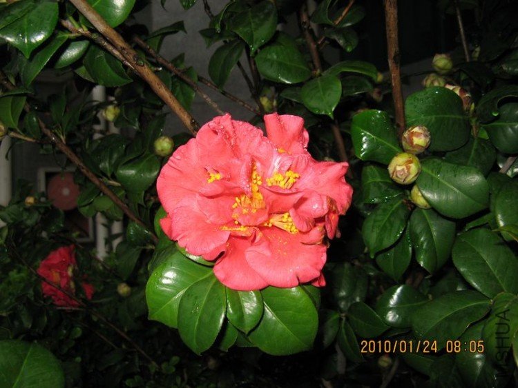 ��Ƭ 325-1.jpg