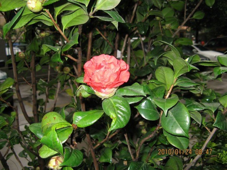 ��Ƭ 329-1.jpg