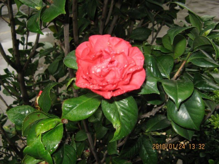 ��Ƭ 364-1.jpg